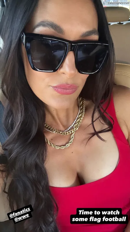 The Bella Twins photo 16 of 1421