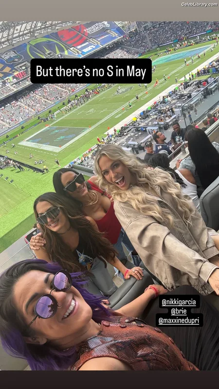 The Bella Twins photo 16 of 1421
