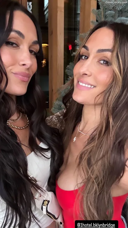 The Bella Twins photo 22 of 1421