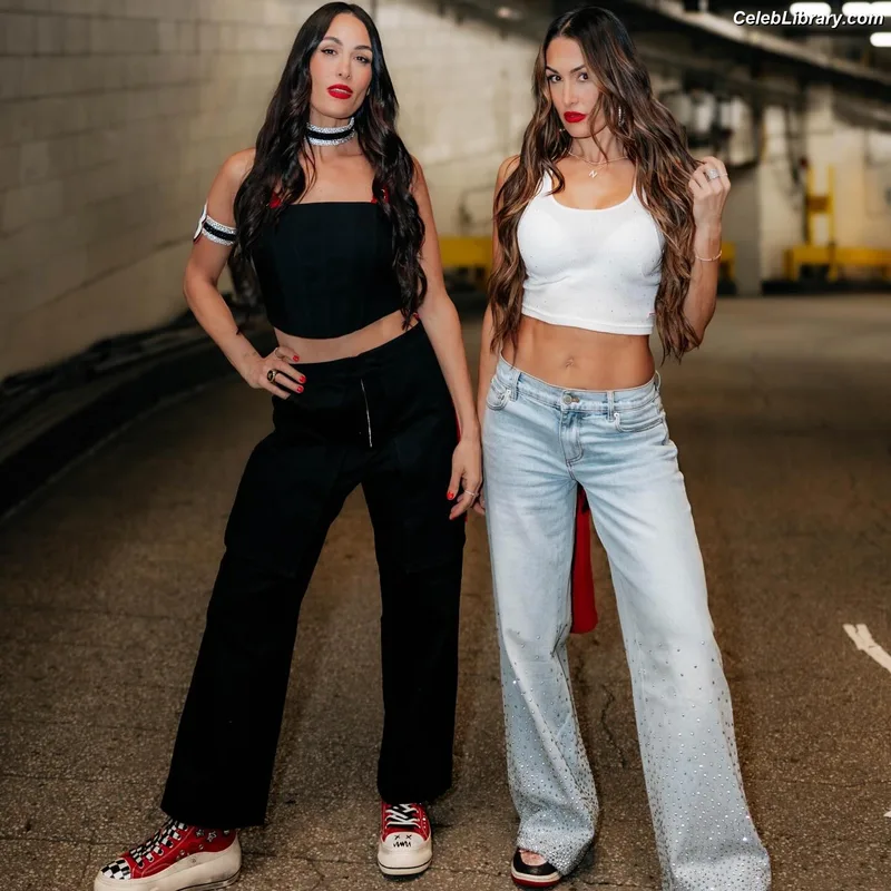 The Bella Twins photo 17 of 1421
