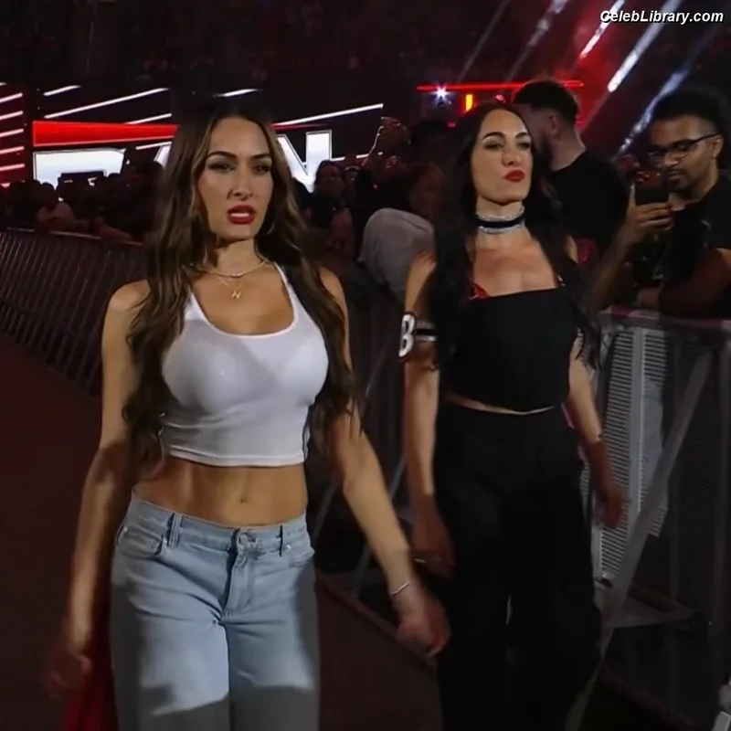 The Bella Twins photo 9 of 1421