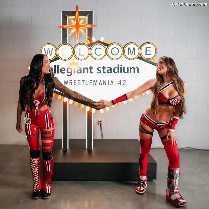 The Bella Twins photo 2 of 1421