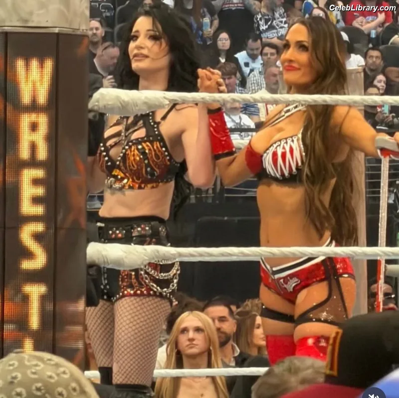The Bella Twins photo 17 of 1421