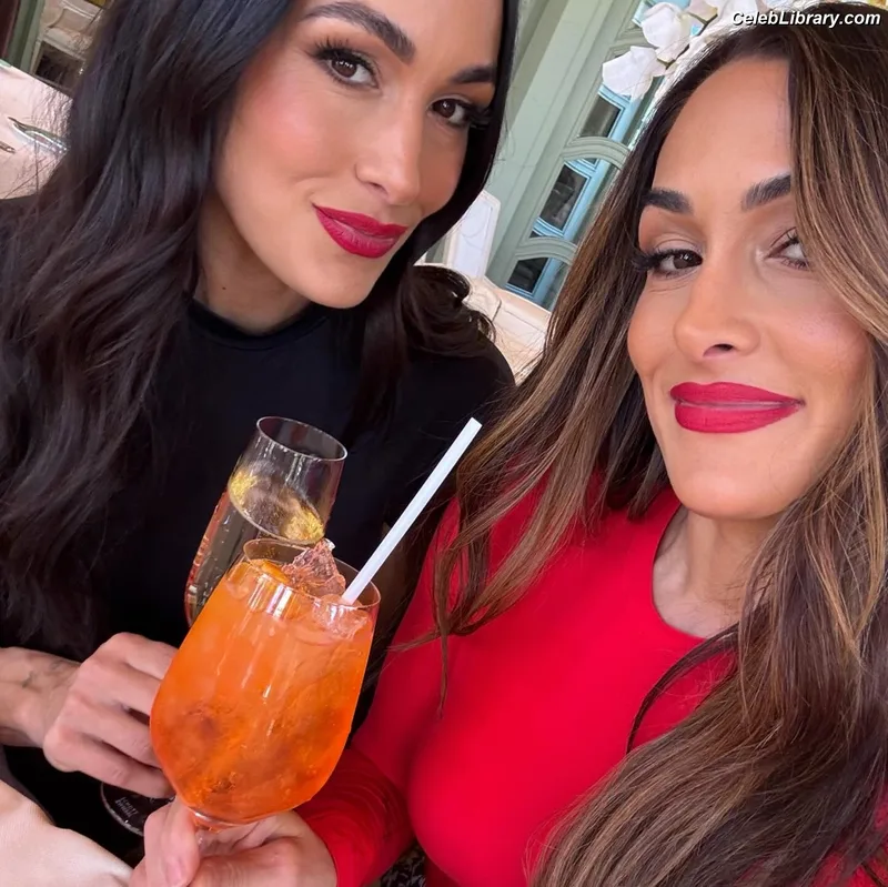 The Bella Twins photo 4 of 1421