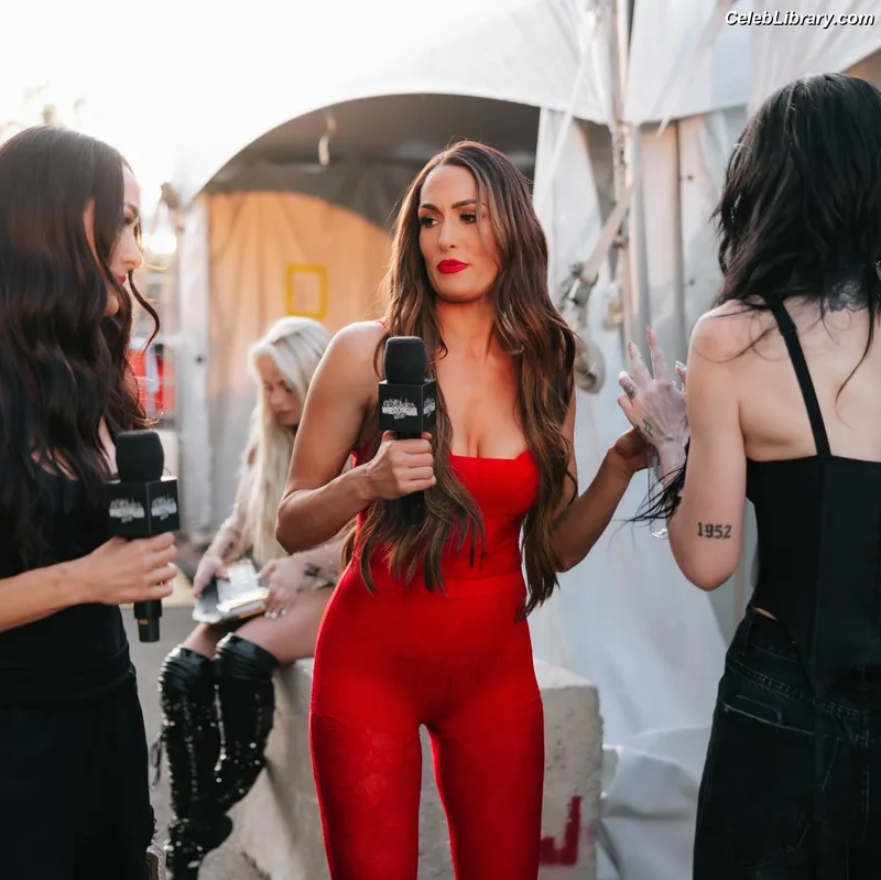The Bella Twins photo 4 of 1421