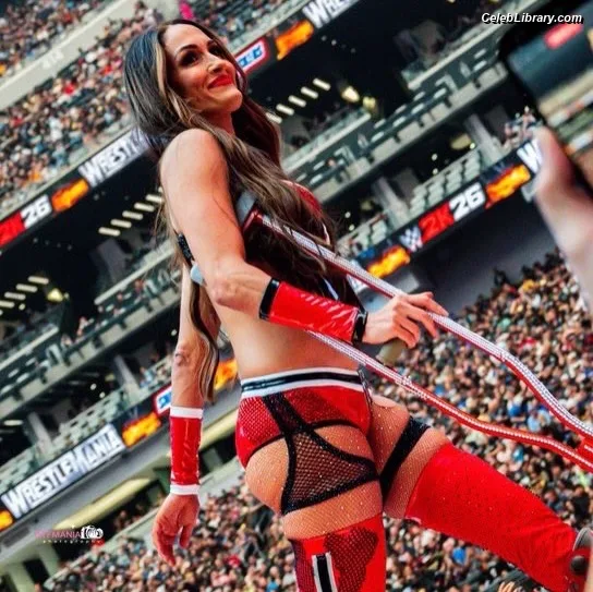 The Bella Twins photo 18 of 1421