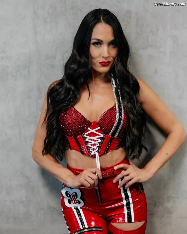 The Bella Twins photo 13 of 1421