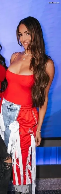 The Bella Twins photo 8 of 1421