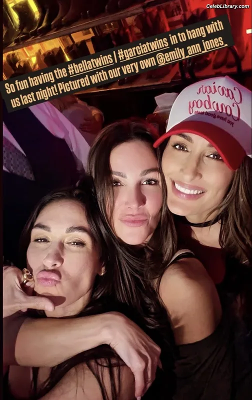 The Bella Twins photo 18 of 1421