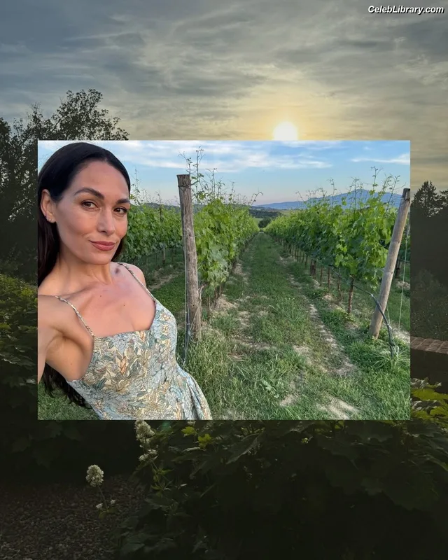 The Bella Twins photo 14 of 1421