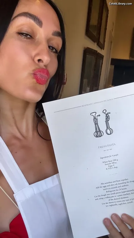 The Bella Twins photo 7 of 1421
