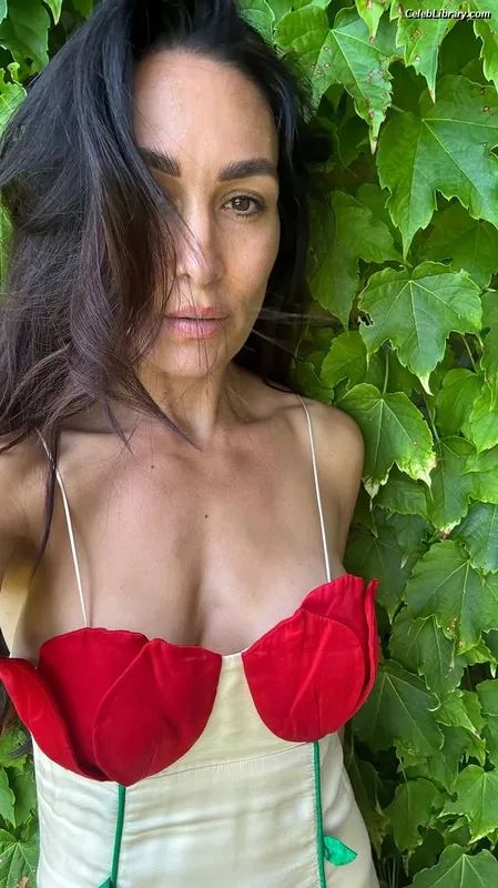 The Bella Twins photo 8 of 1421