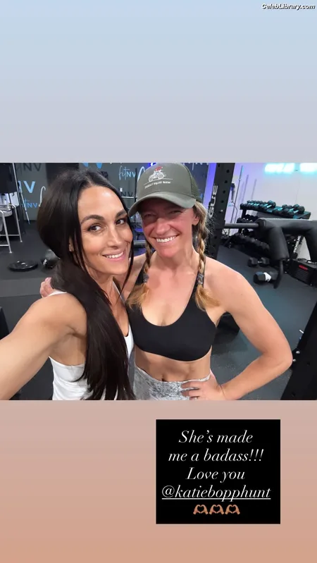 The Bella Twins photo 7 of 1421