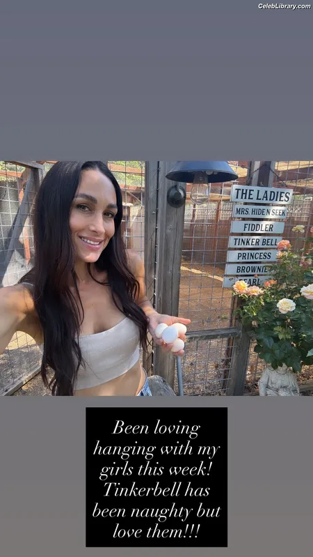 The Bella Twins photo 7 of 1421
