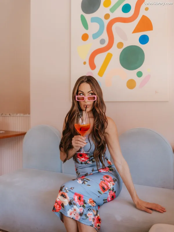 The Bella Twins photo 4 of 1421