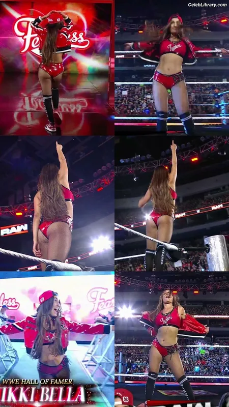 The Bella Twins photo 10 of 1421