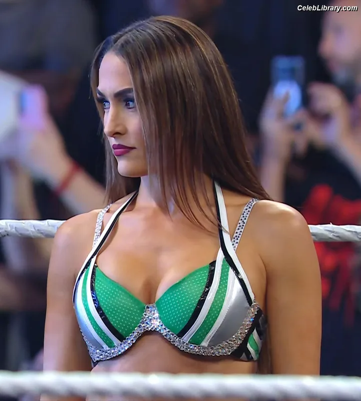The Bella Twins photo 5 of 1421