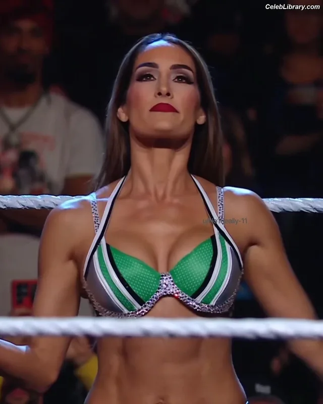 The Bella Twins photo 10 of 1421