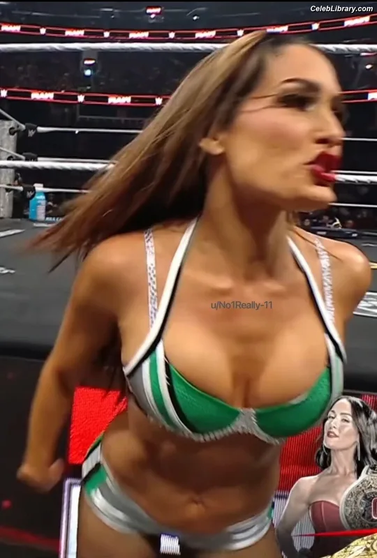The Bella Twins photo 11 of 1421