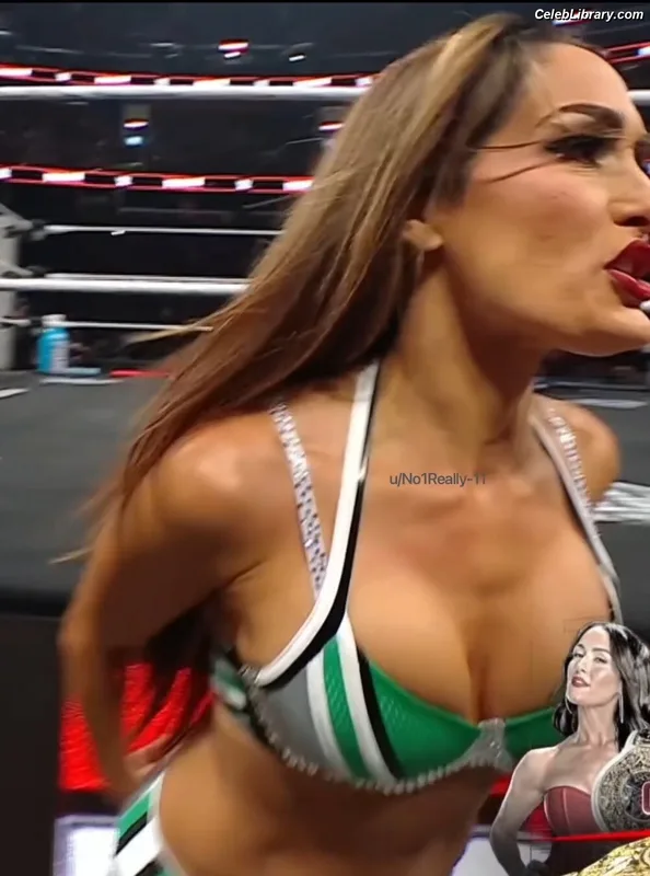 The Bella Twins photo 11 of 1421