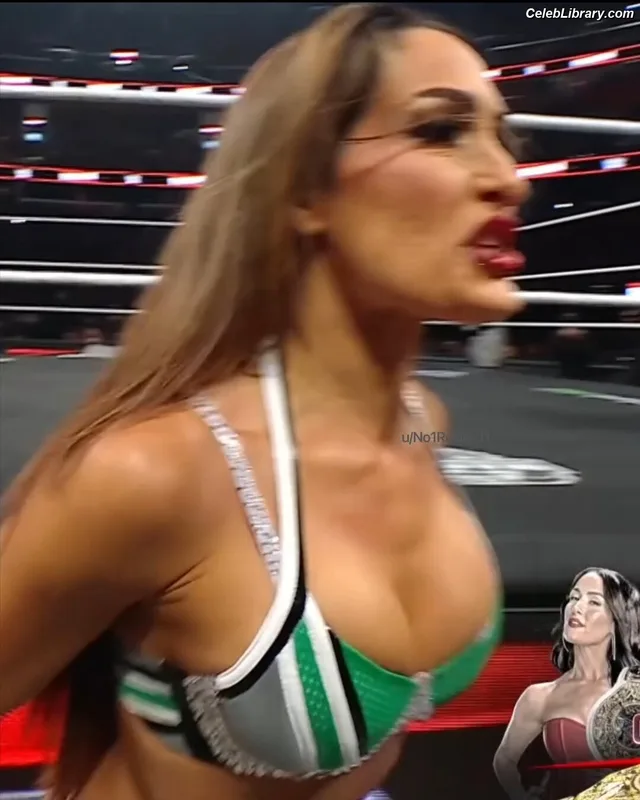 The Bella Twins photo 12 of 1421
