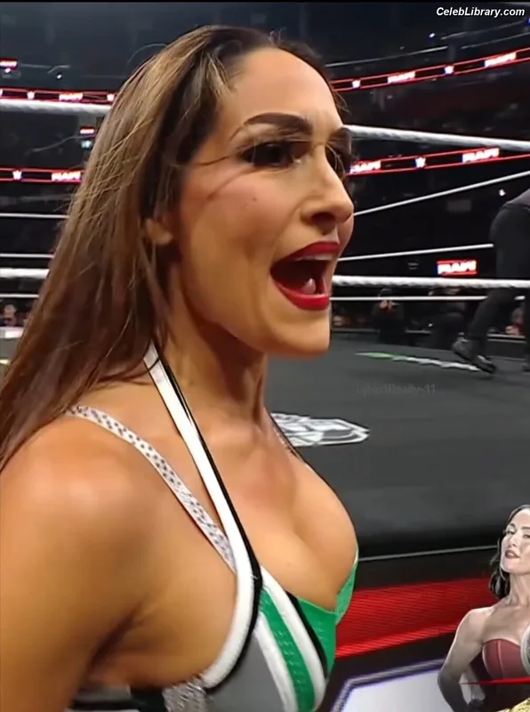 The Bella Twins photo 13 of 1421