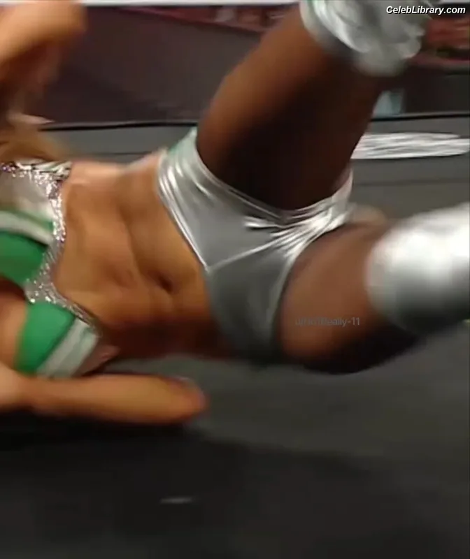 The Bella Twins photo 12 of 1421