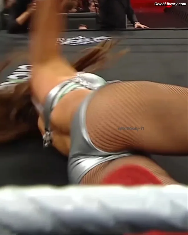 The Bella Twins photo 14 of 1421