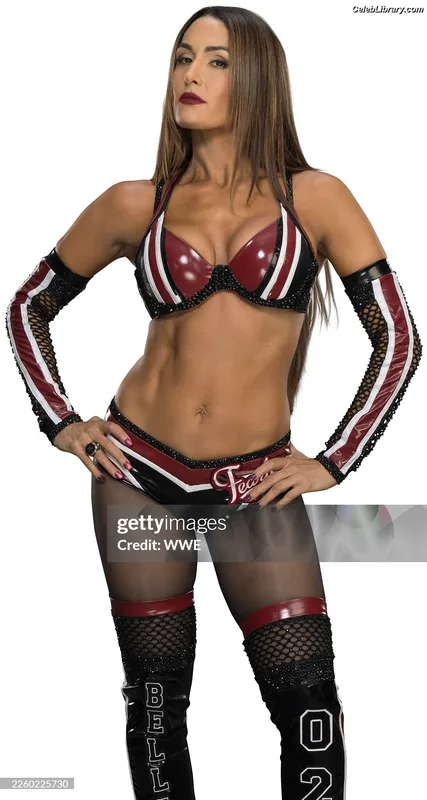 The Bella Twins photo 16 of 1421