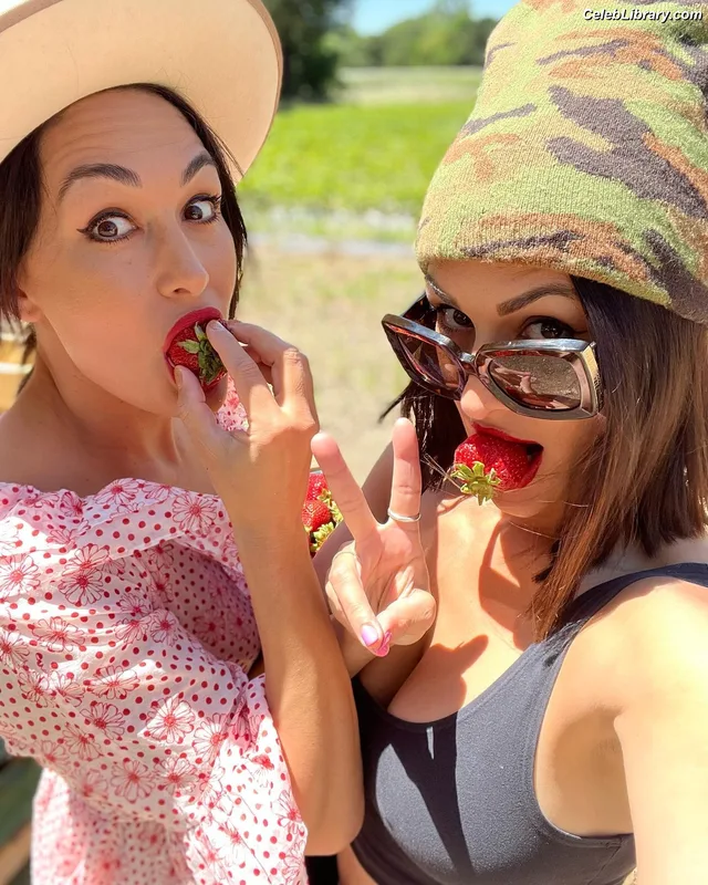The Bella Twins photo 15 of 1421