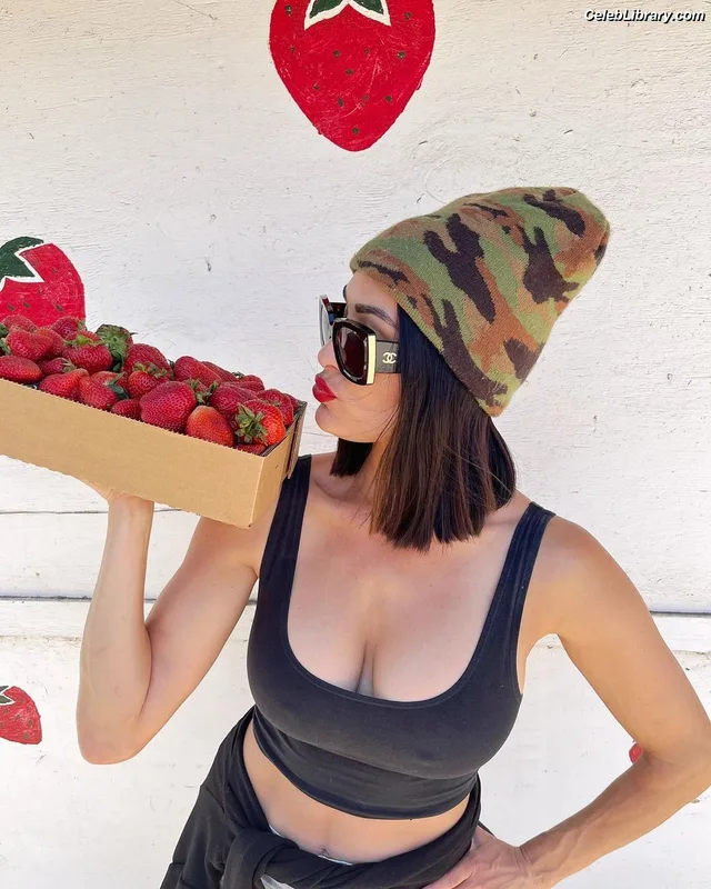 The Bella Twins photo 18 of 1421