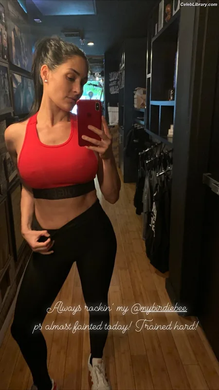 The Bella Twins photo 22 of 1421