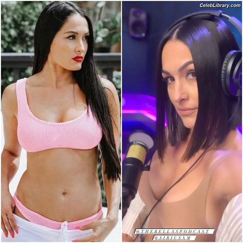 The Bella Twins photo 18 of 1421