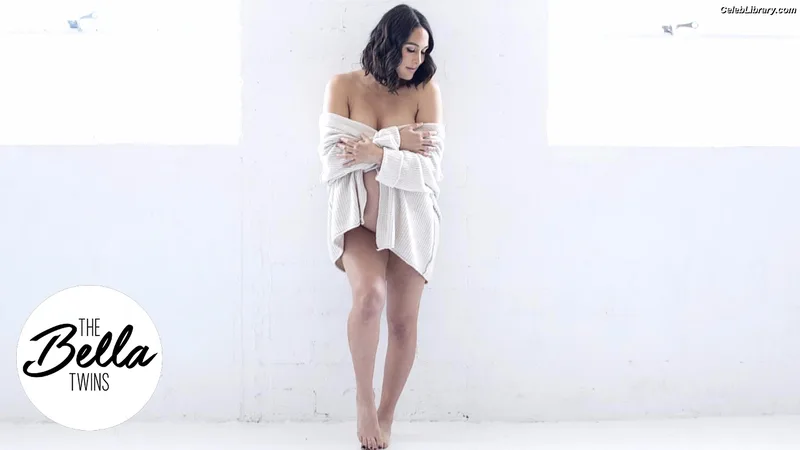The Bella Twins photo 9 of 1421