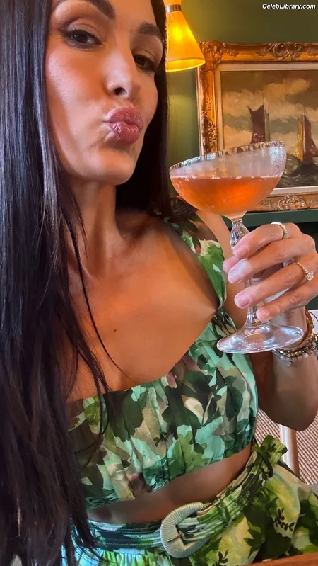 The Bella Twins photo 22 of 1421