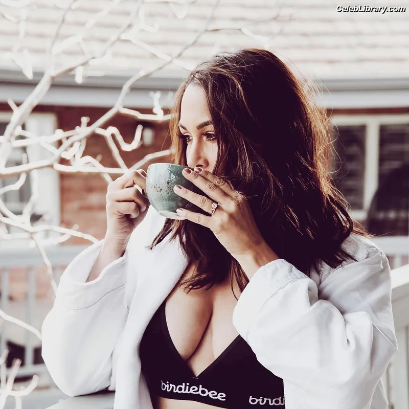 The Bella Twins photo 18 of 1421