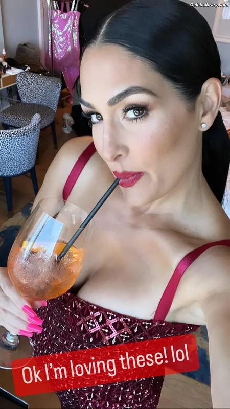 The Bella Twins photo 20 of 1421