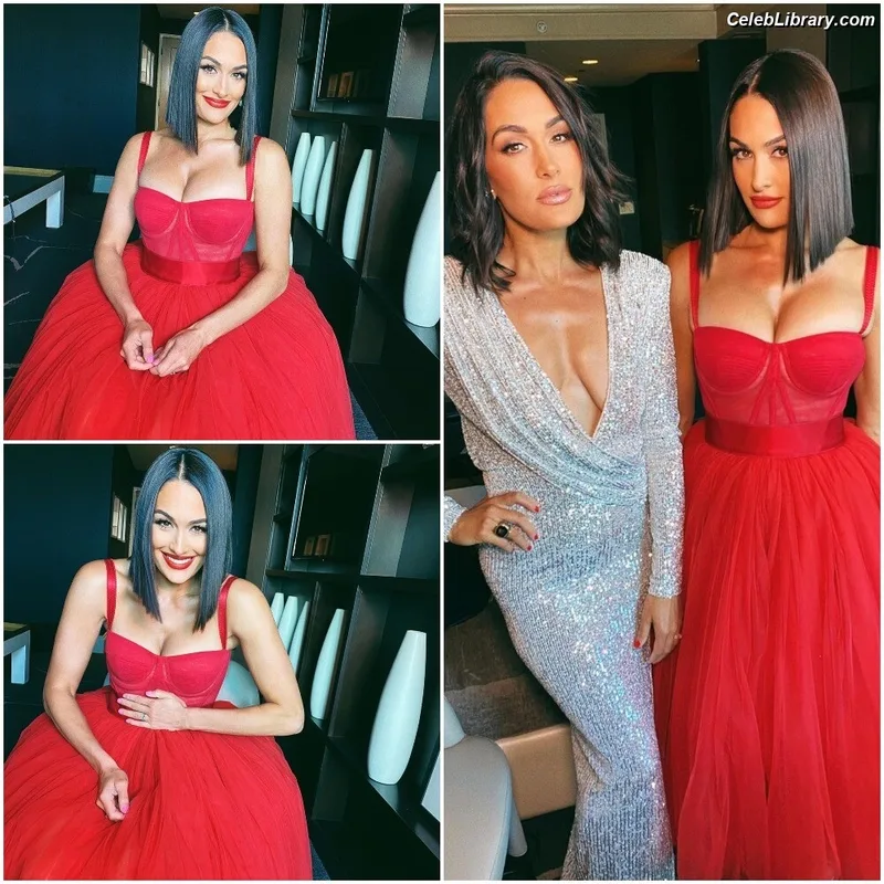 The Bella Twins photo 5 of 1421