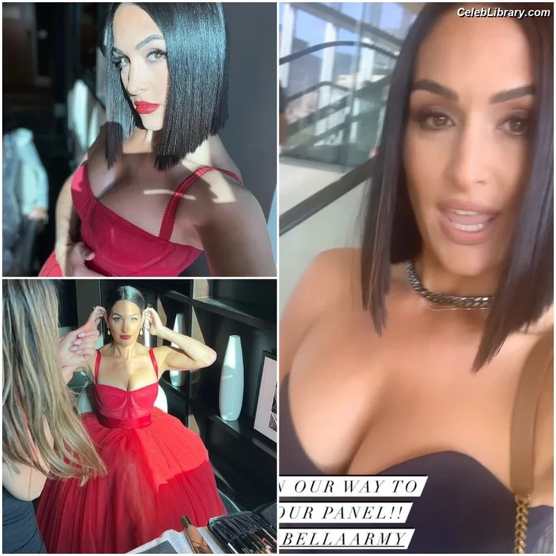 The Bella Twins photo 22 of 1421