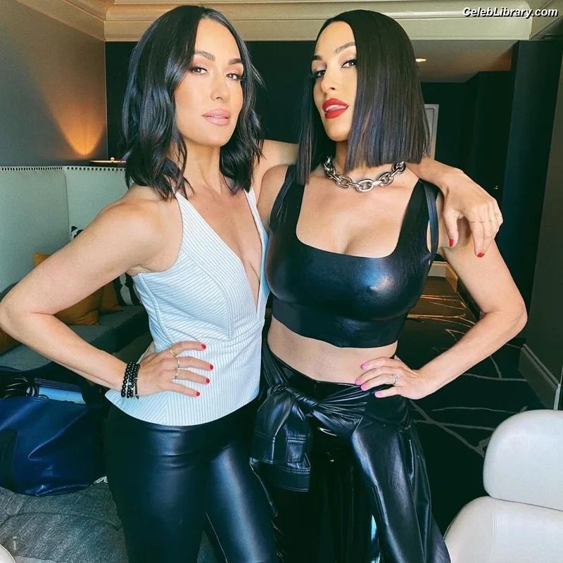 The Bella Twins photo 6 of 1421