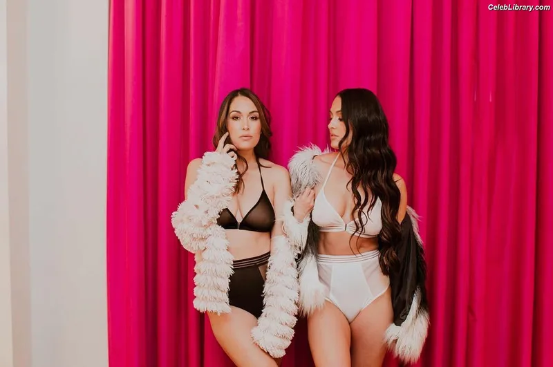 The Bella Twins photo 21 of 1421