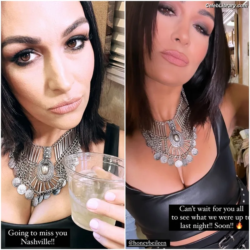 The Bella Twins photo 11 of 1421