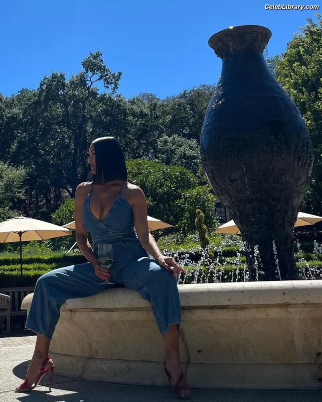 The Bella Twins photo 7 of 1421