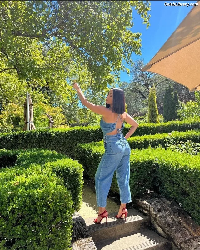 The Bella Twins photo 8 of 1421