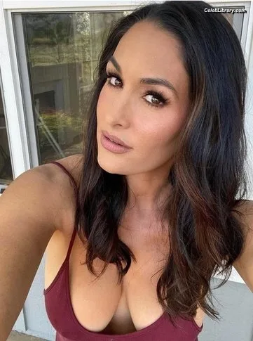 The Bella Twins photo 14 of 1421