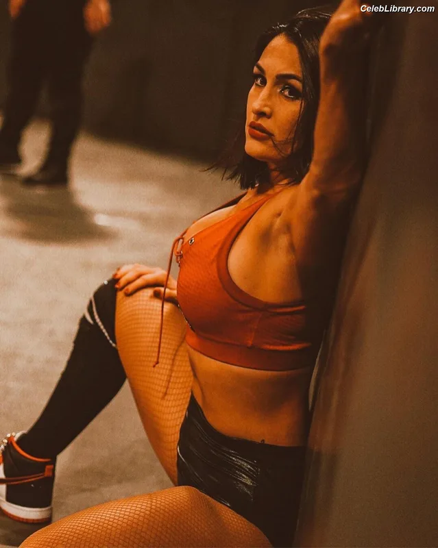 The Bella Twins photo 10 of 1421