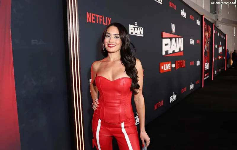 The Bella Twins photo 17 of 1421