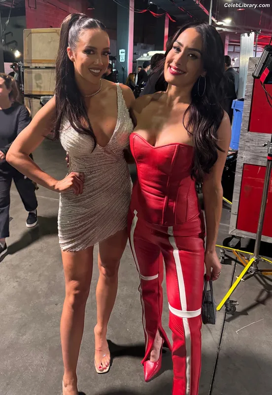The Bella Twins photo 19 of 1421