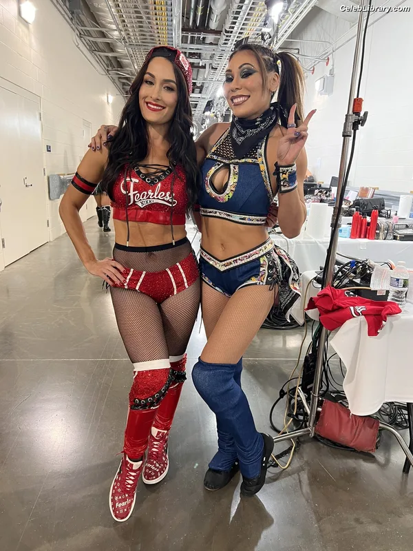 The Bella Twins photo 4 of 1421