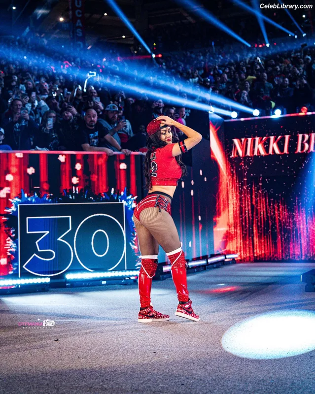 The Bella Twins photo 1 of 1421